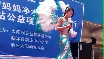 营业性演出中的性感人妖表演 文化多元化的反思与规范化探讨